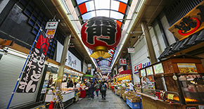 本州北海道{美食美景}八日