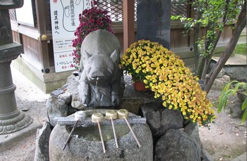 京都護王神社 另類日本豬寺廟圖片